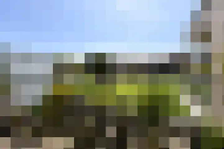 Aalscholversingel 320 Velp thumbnail 15