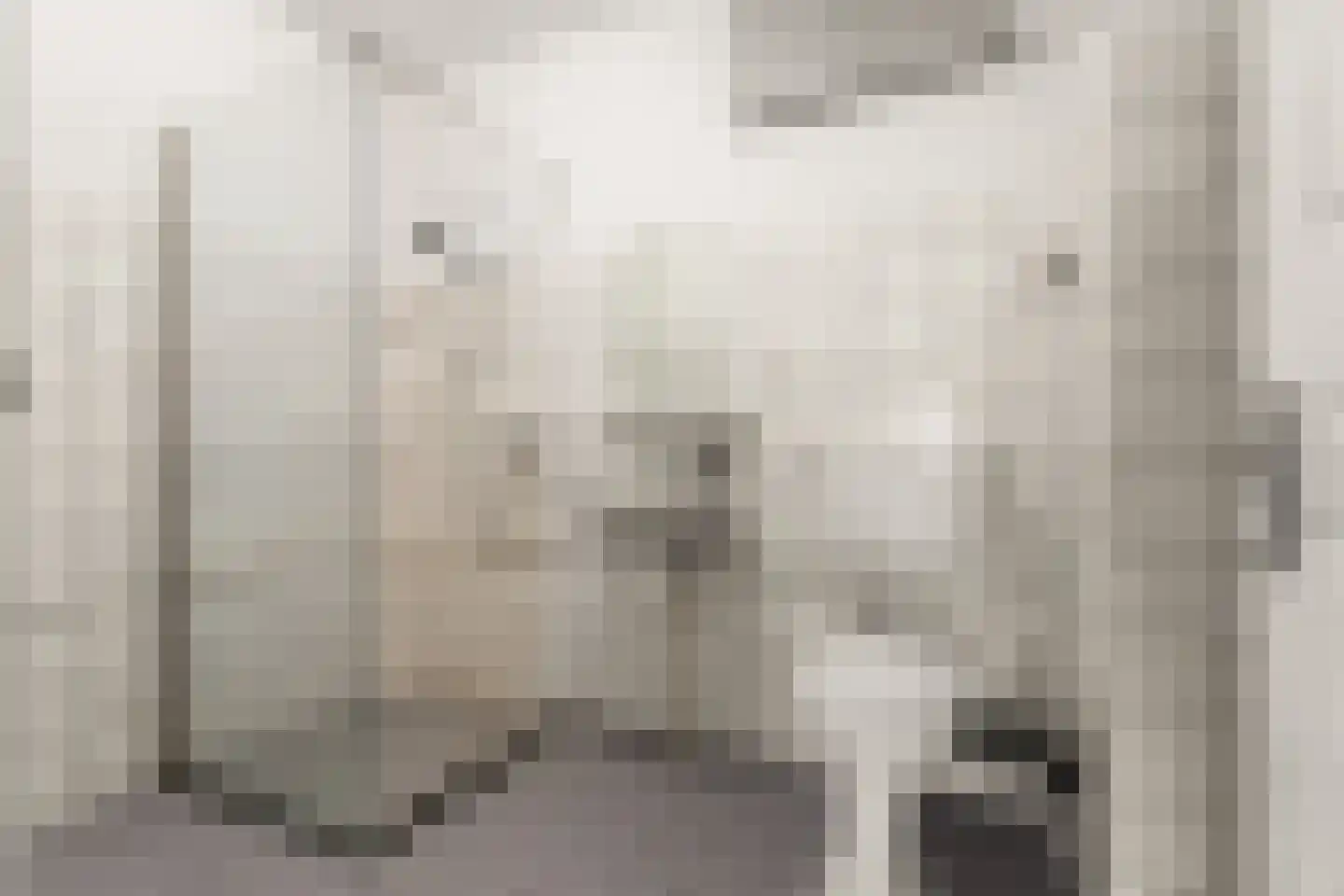 Aalscholversingel 320 Velp thumbnail 20