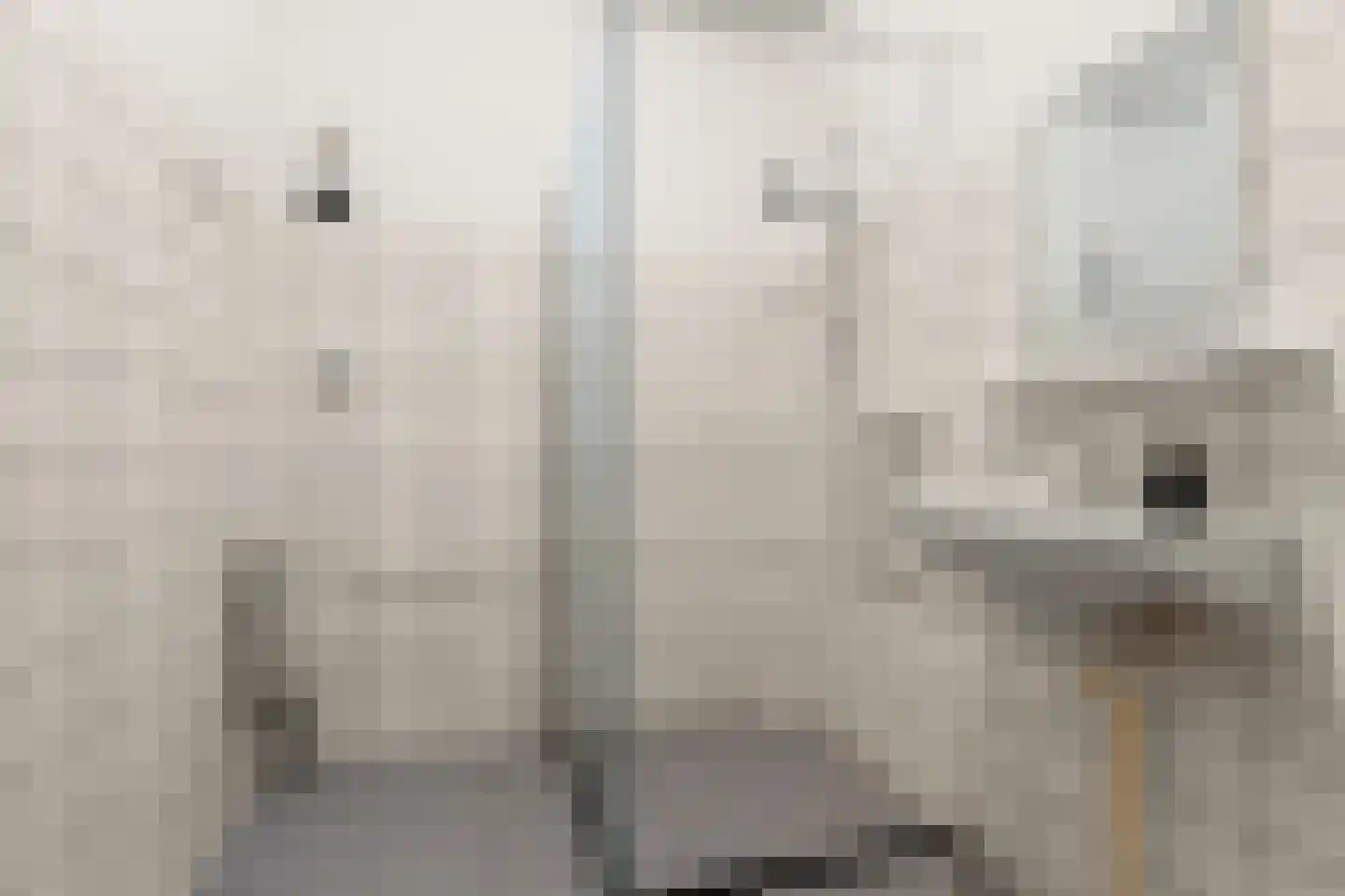 Aalscholversingel 320 Velp thumbnail 21