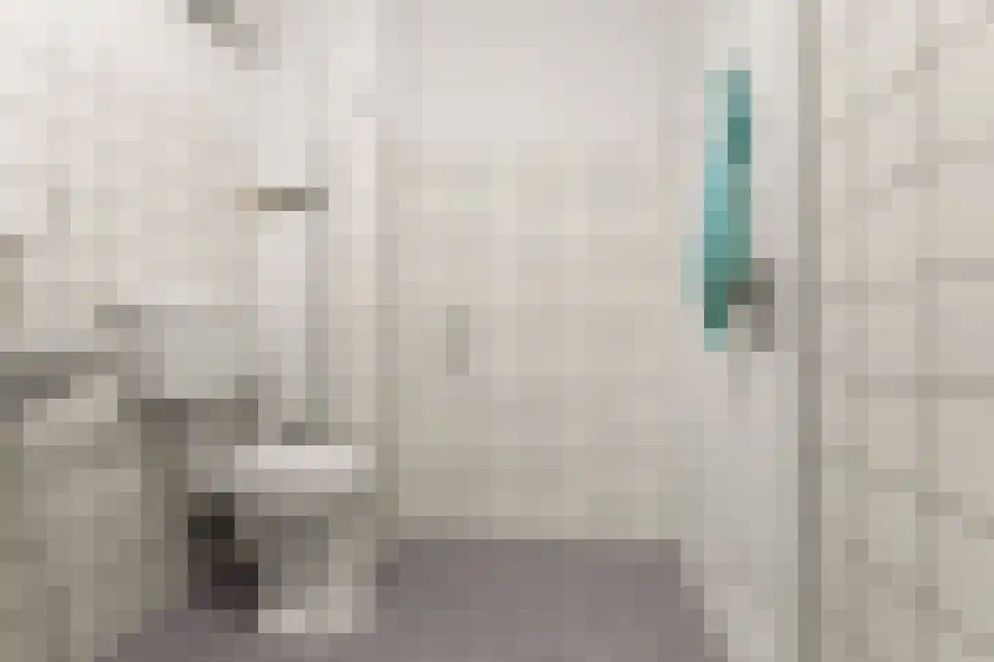 Aalscholversingel 320 Velp thumbnail 22