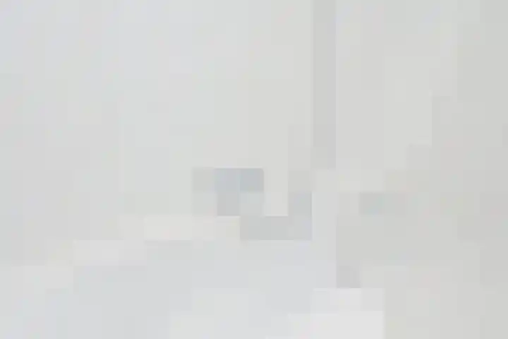 Aalscholversingel 320 Velp thumbnail 27