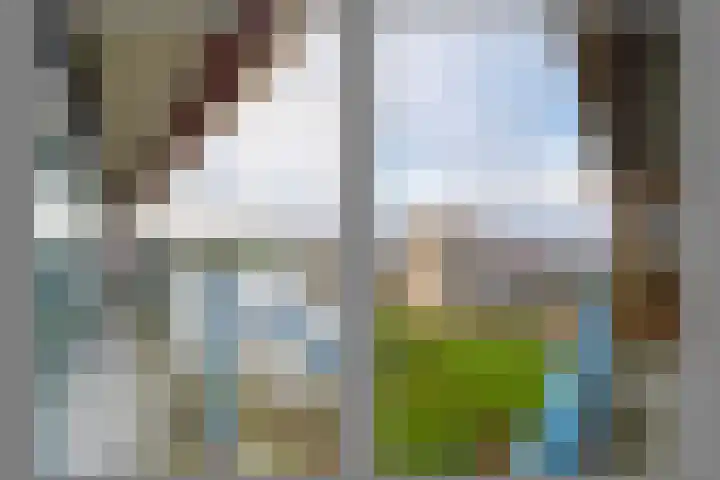 Aalscholversingel 336 Velp thumbnail 13