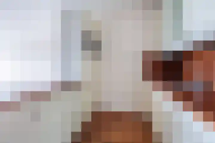 Aalscholversingel 336 Velp thumbnail 17
