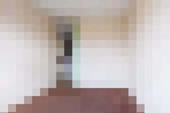 Aalscholversingel 336 Velp thumbnail 20