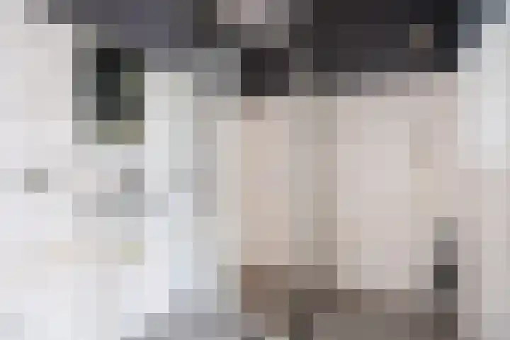 Aalscholversingel 336 Velp thumbnail 22