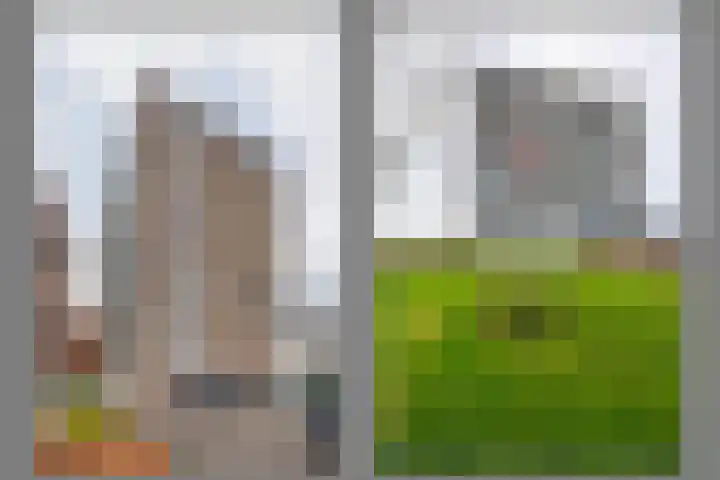 Aalscholversingel 336 Velp thumbnail 23