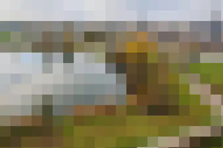 Aalscholversingel 336 Velp thumbnail 24