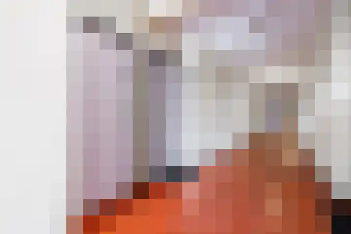 Aalscholversingel 336 Velp thumbnail 9