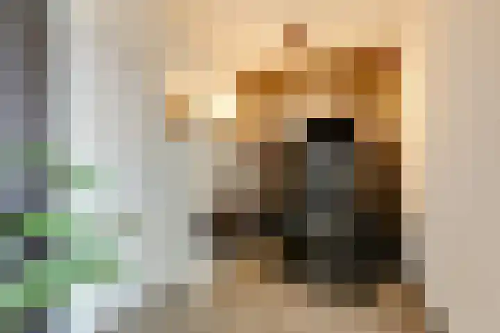 Aalscholversingel 372 Velp thumbnail 14