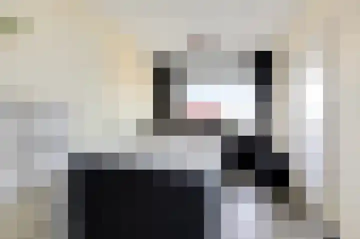 Aalscholversingel 372 Velp thumbnail 15