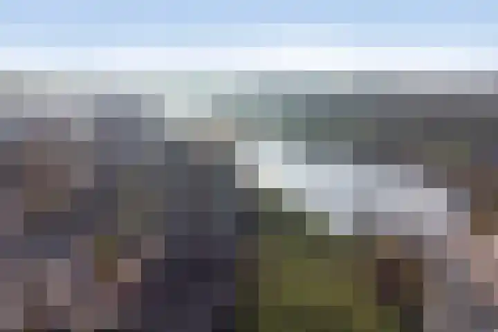 Aalscholversingel 372 Velp thumbnail 21