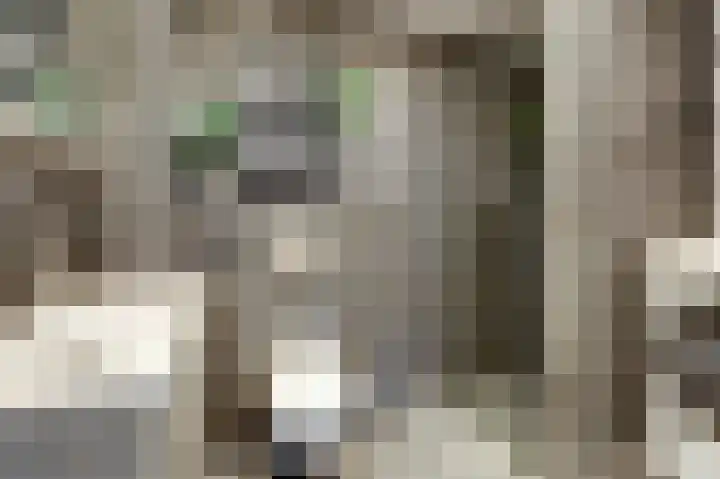 Aalscholversingel 372 Velp thumbnail 4