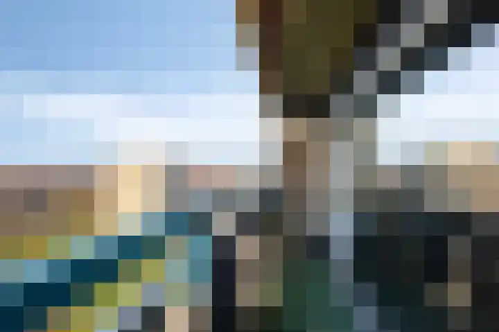 Aalscholversingel 372 Velp thumbnail 8