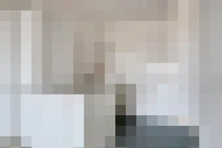 Aalscholversingel 378 Velp thumbnail 12