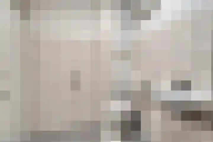 Aalscholversingel 378 Velp thumbnail 19