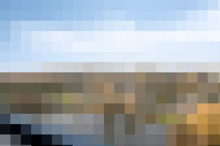 Aalscholversingel 378 Velp thumbnail 23
