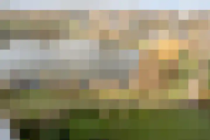 Aalscholversingel 378 Velp thumbnail 24