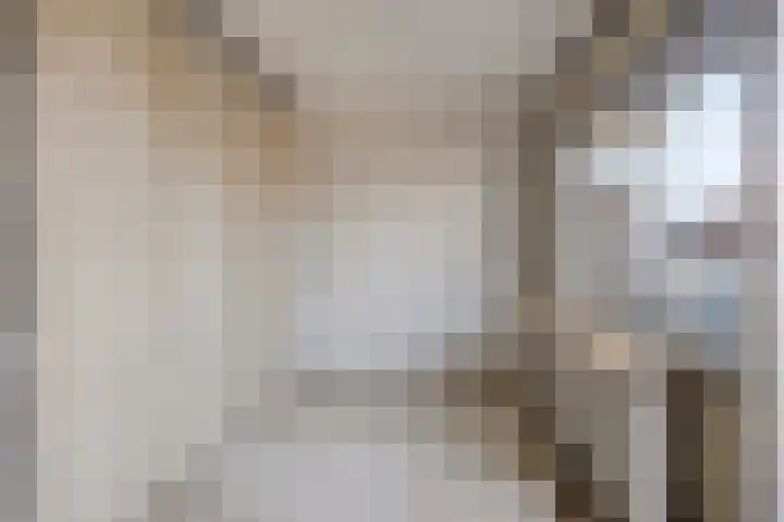 Aalscholversingel 378 Velp thumbnail 9