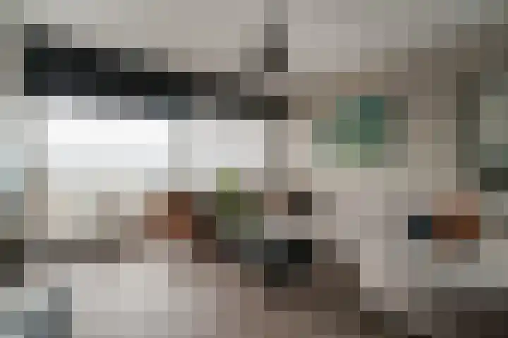 Aalscholversingel 386 Velp thumbnail 10