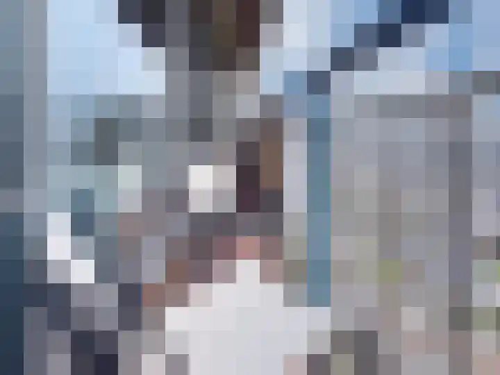 Aalscholversingel 386 Velp thumbnail 11