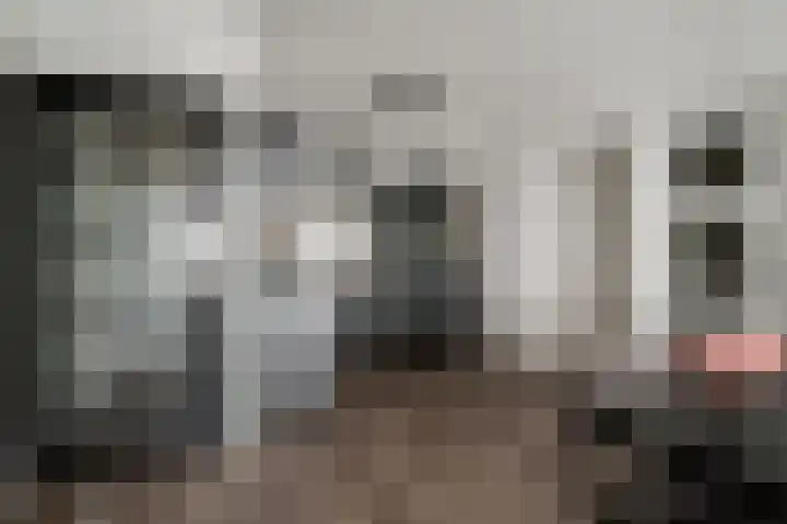 Aalscholversingel 386 Velp thumbnail 17