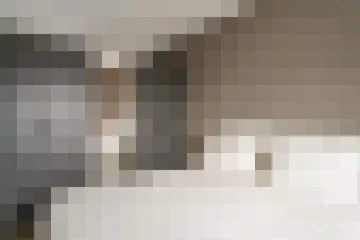 Aalscholversingel 386 Velp thumbnail 23