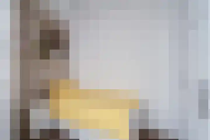 Aalscholversingel 386 Velp thumbnail 28