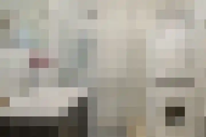 Aalscholversingel 386 Velp thumbnail 31