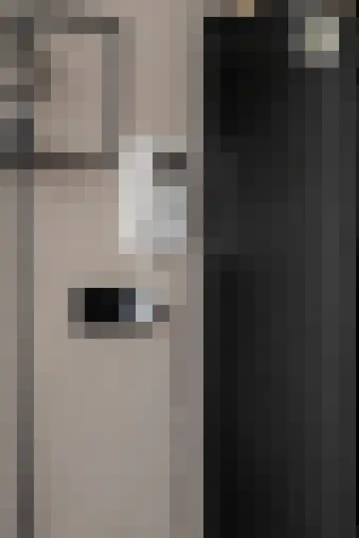 Aalscholversingel 386 Velp thumbnail 34