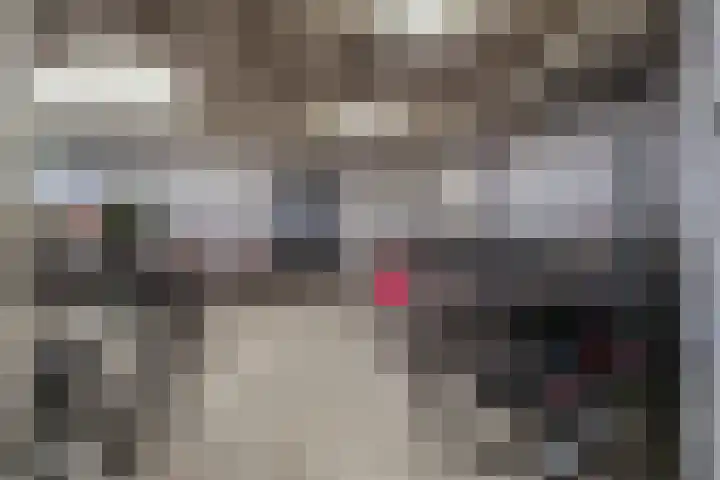 Aalscholversingel 386 Velp thumbnail 45