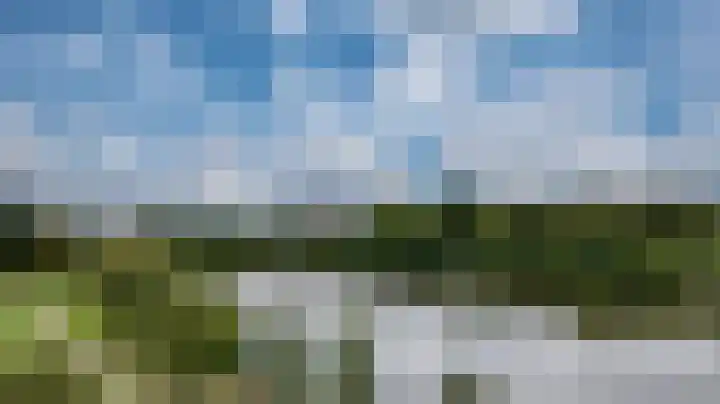 Aalscholversingel 386 Velp thumbnail 49