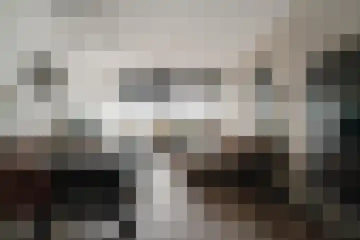 Aalscholversingel 386 Velp thumbnail 5