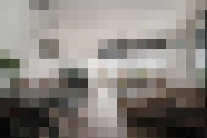 Aalscholversingel 386 Velp thumbnail 7