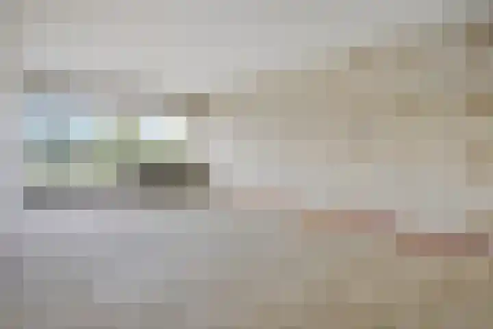 Aalscholversingel 416 Velp thumbnail 15