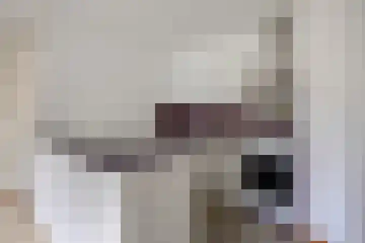 Aalscholversingel 416 Velp thumbnail 17