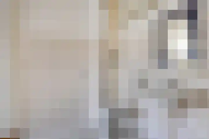 Aalscholversingel 416 Velp thumbnail 26