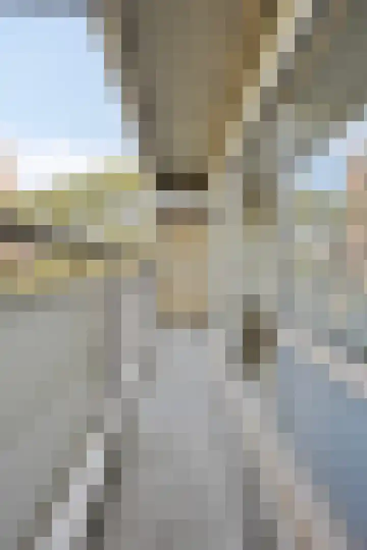 Aalscholversingel 416 Velp thumbnail 30