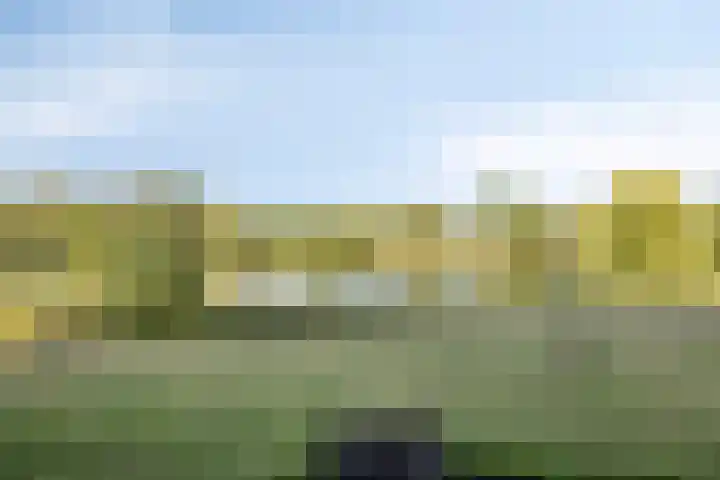 Aalscholversingel 416 Velp thumbnail 33