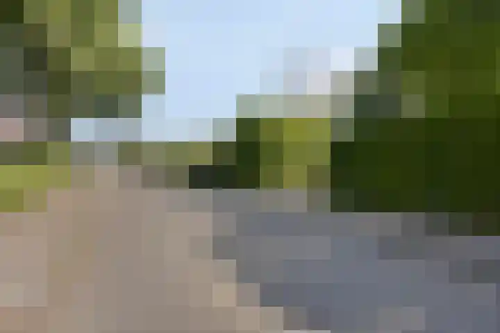 Aalscholversingel 416 Velp thumbnail 7