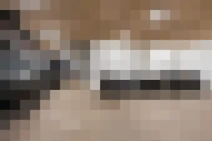 Aalscholversingel 42 Velp thumbnail 17