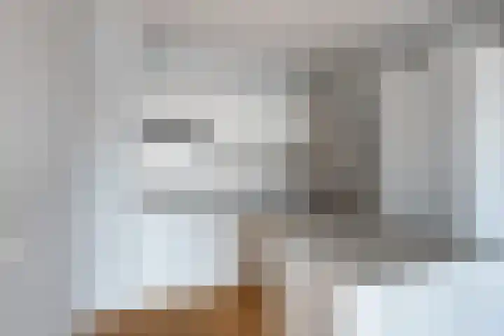 Aalscholversingel 42 Velp thumbnail 19