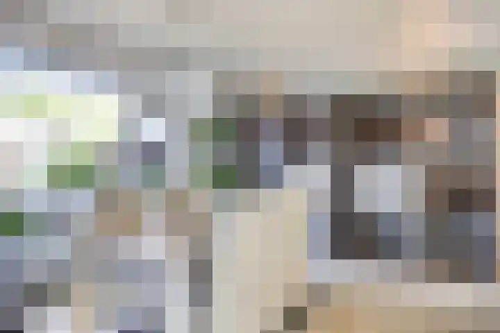 Aalscholversingel 42 Velp thumbnail 20