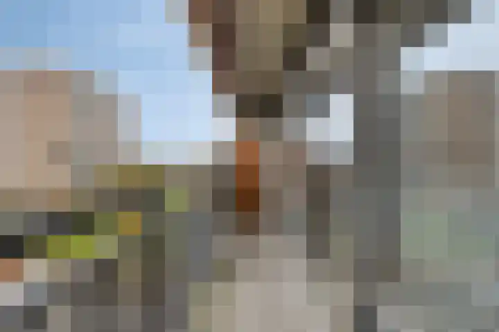 Aalscholversingel 42 Velp thumbnail 30