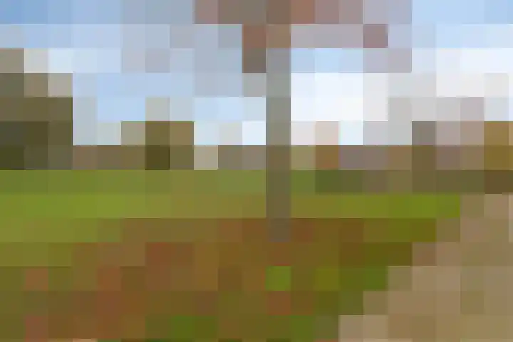 Aalscholversingel 42 Velp thumbnail 31