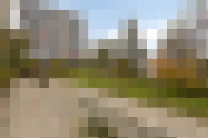 Aalscholversingel 42 Velp thumbnail 34