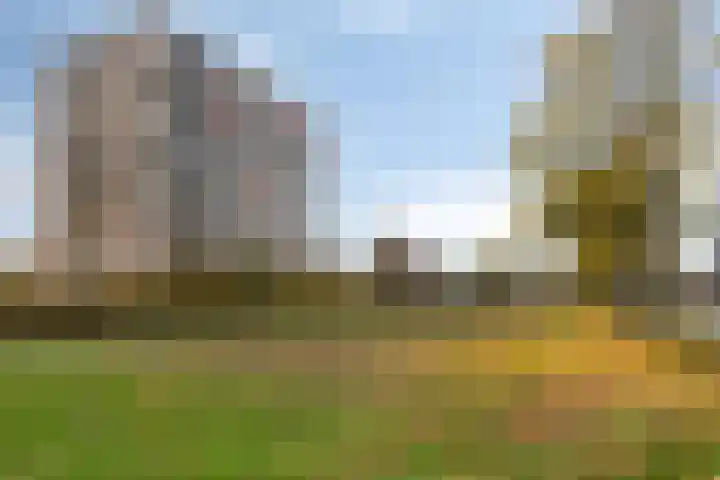 Aalscholversingel 42 Velp thumbnail 36