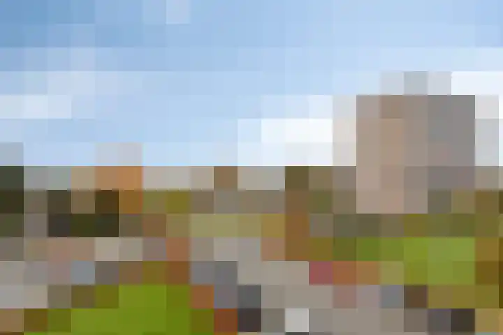 Aalscholversingel 42 Velp thumbnail 37
