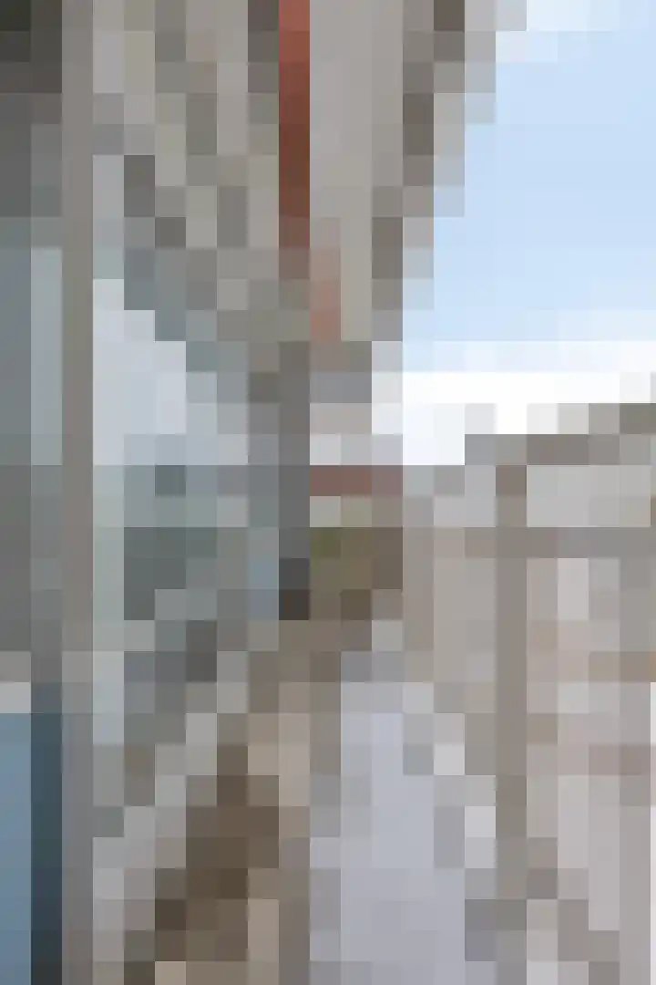 Aalscholversingel 428 Velp thumbnail 22