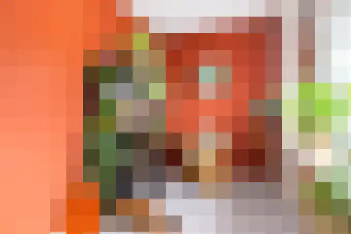 Aalscholversingel 438 Velp thumbnail 15