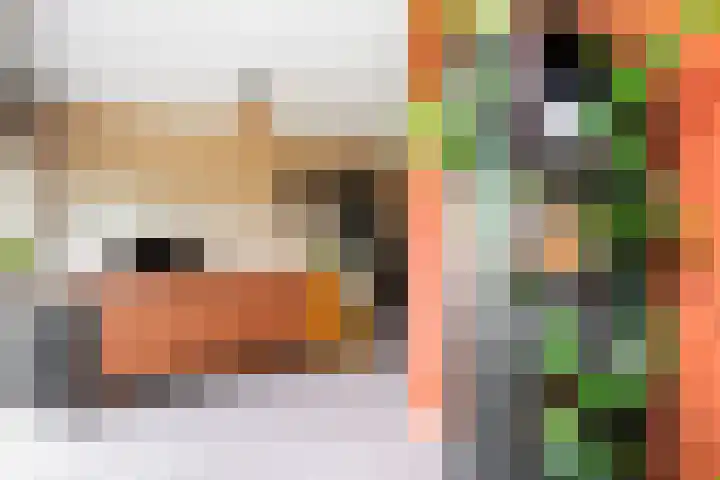 Aalscholversingel 438 Velp thumbnail 16